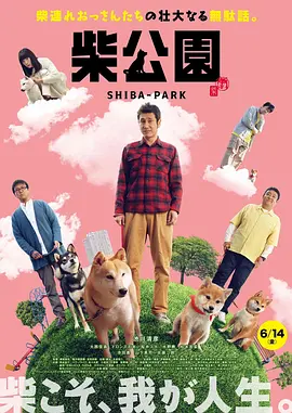 爱搞在线