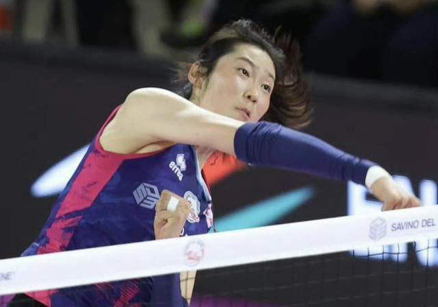 美女一区二区三区在线观看