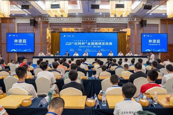 成年人视频在线免费播放