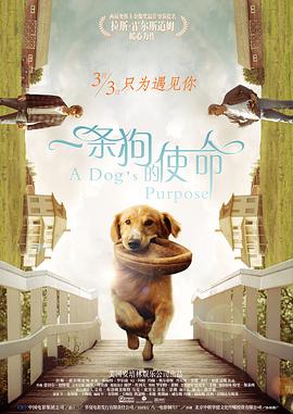 日韩毛片在线看