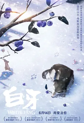 亚洲自拍日韩