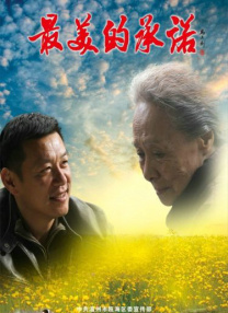 椎名空下载